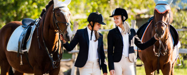 coaching avec les chevaux