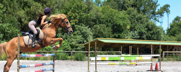 stage d'équitation en anglais