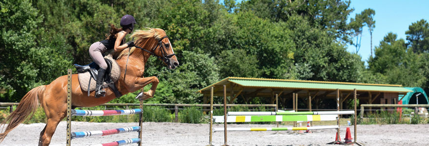 stage d'équitation en anglais